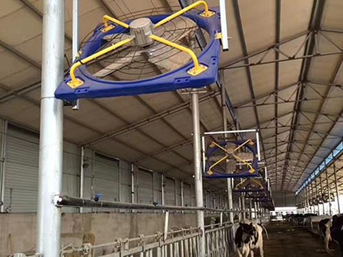 牛舍風(fēng)機(jī)施工現(xiàn)場